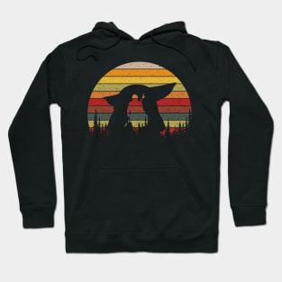 Ninja Colour Hoodie